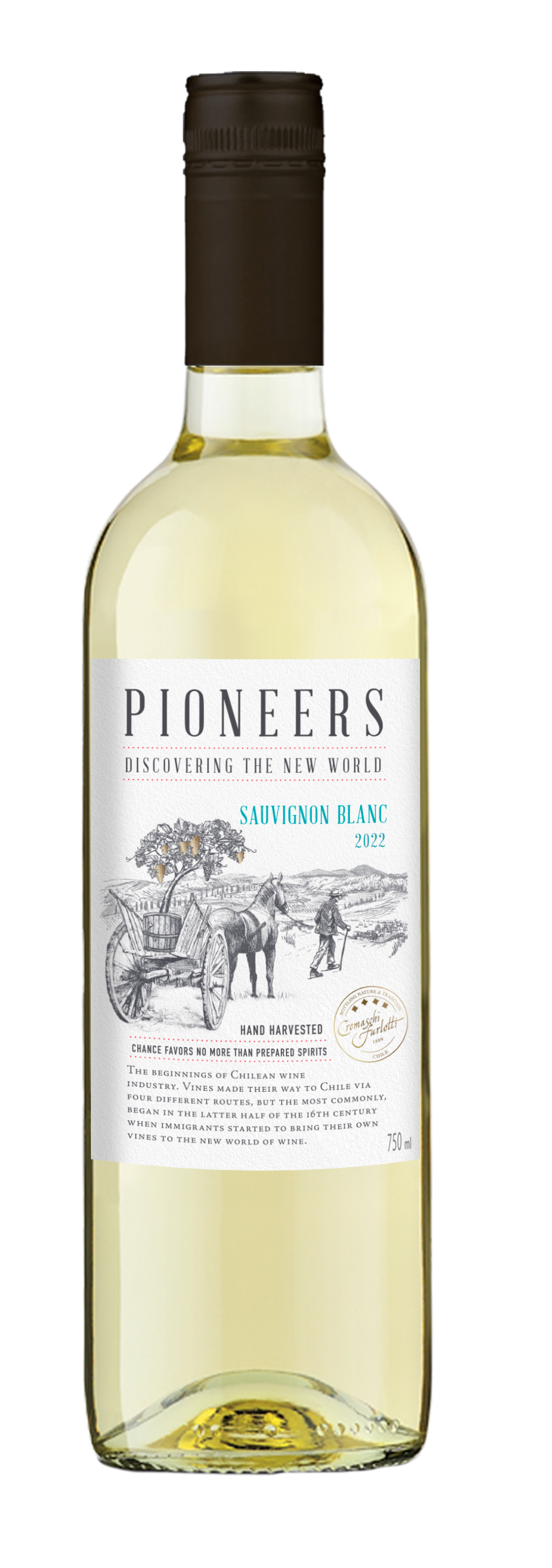 Pioneers Sauvignon Blanc